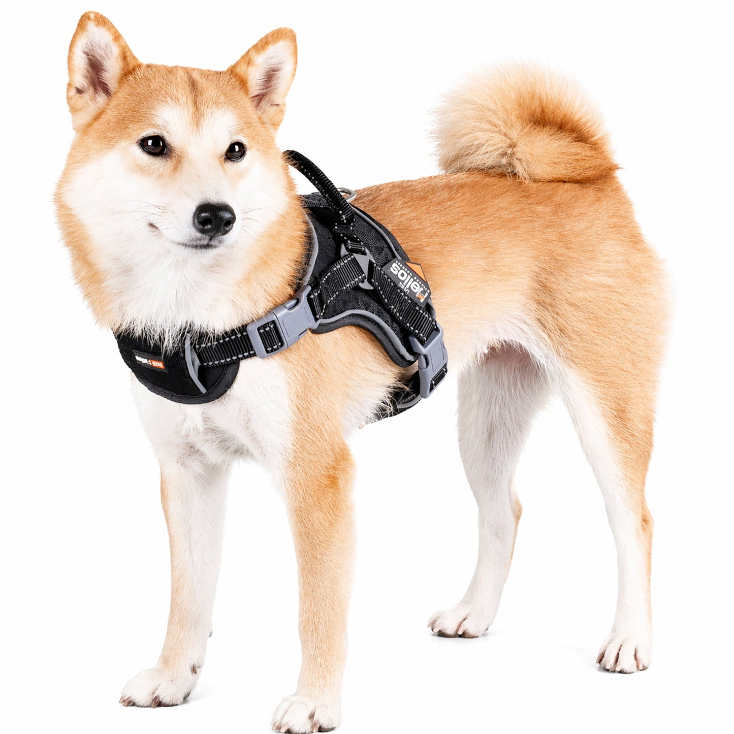 Dog Helios ® 'Scorpion' Sporty High-Performance Free-Range Dog Harness
