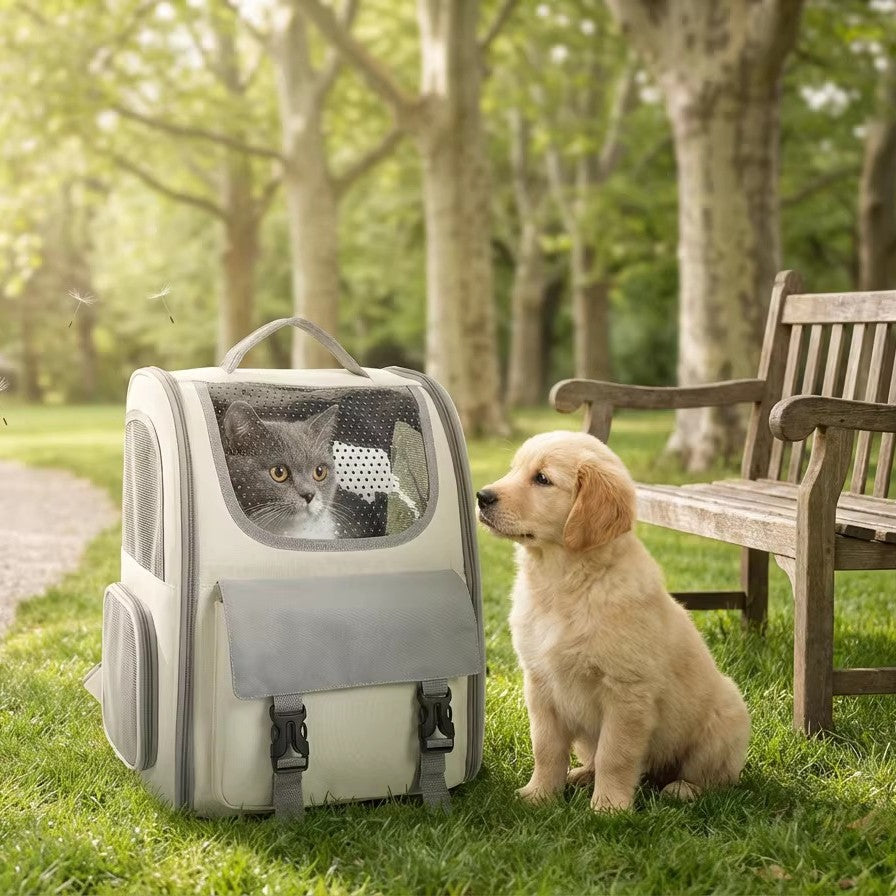 Collars, Leashes & Walk Essentials