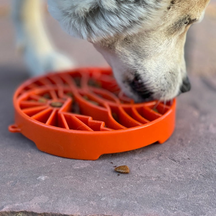 Dining & Nourishment