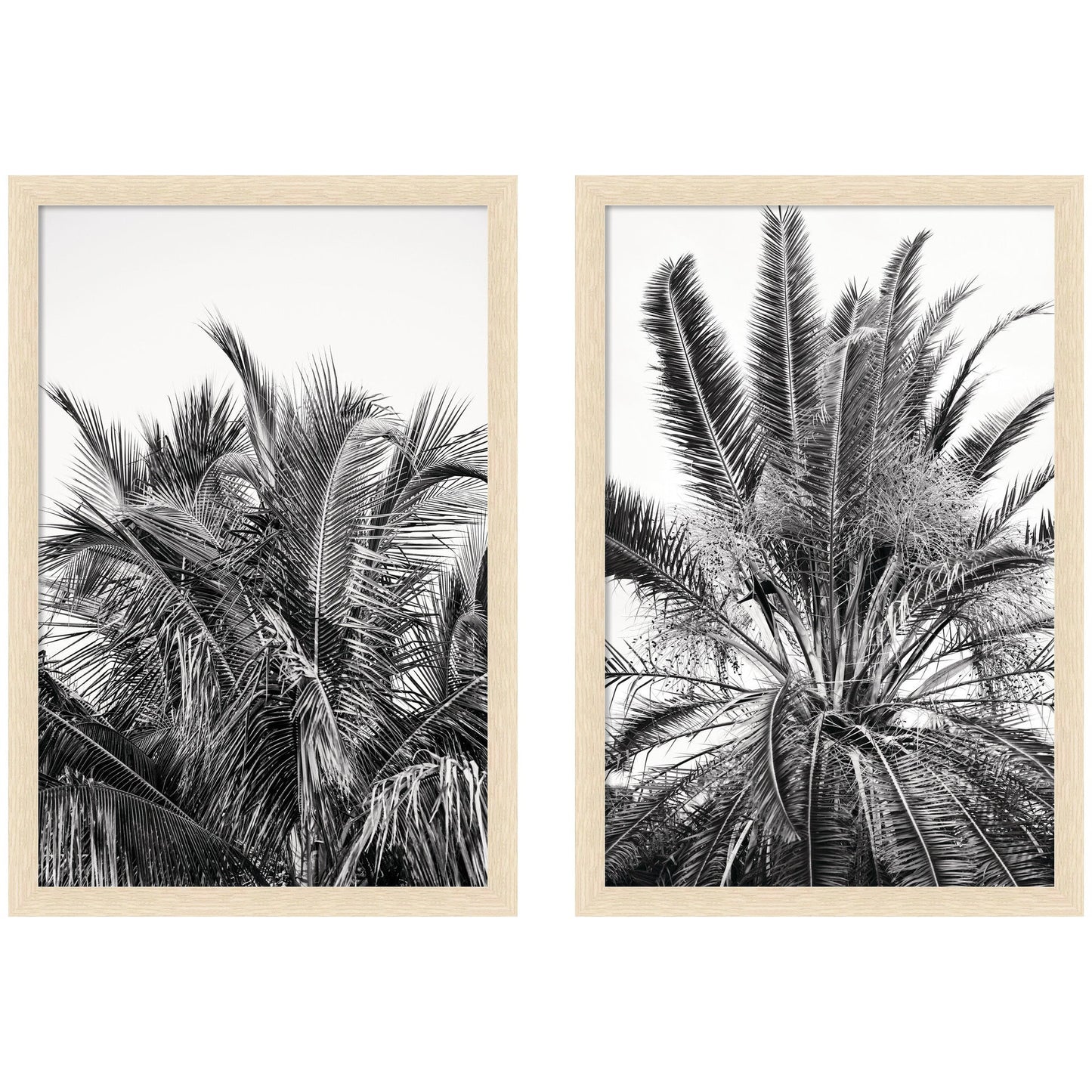 Palm No. 13 & 15 2 Piece Framed Wall Art Print Set by Alicia Bock