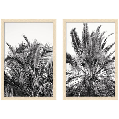 Palm No. 13 & 15 2 Piece Framed Wall Art Print Set by Alicia Bock