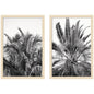 Palm No. 13 & 15 2 Piece Framed Wall Art Print Set by Alicia Bock