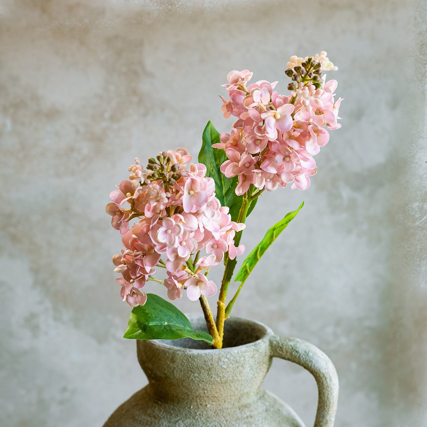Pink Cone Hydrangea Stem