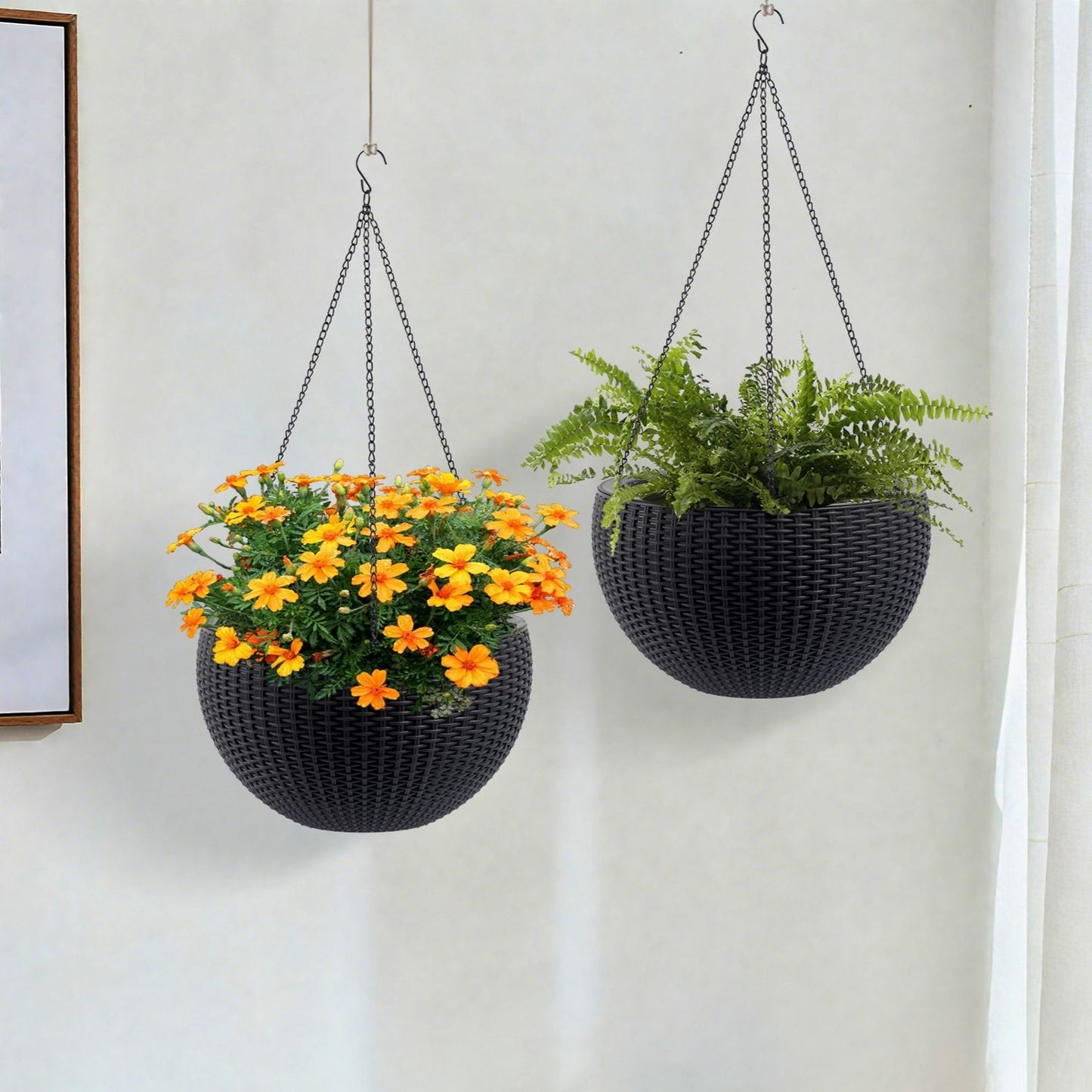 Self Watering Hanging Planter