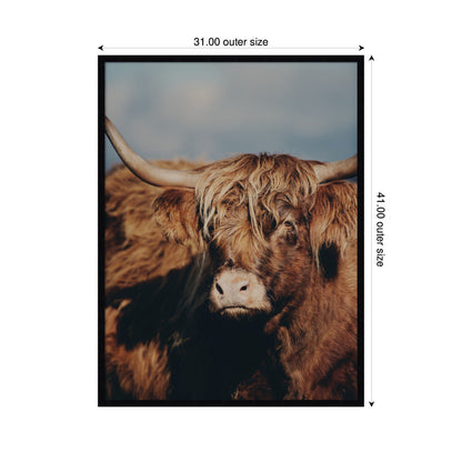 Highland Cow No. 5 by Laura Evans Framed Wall Art Print