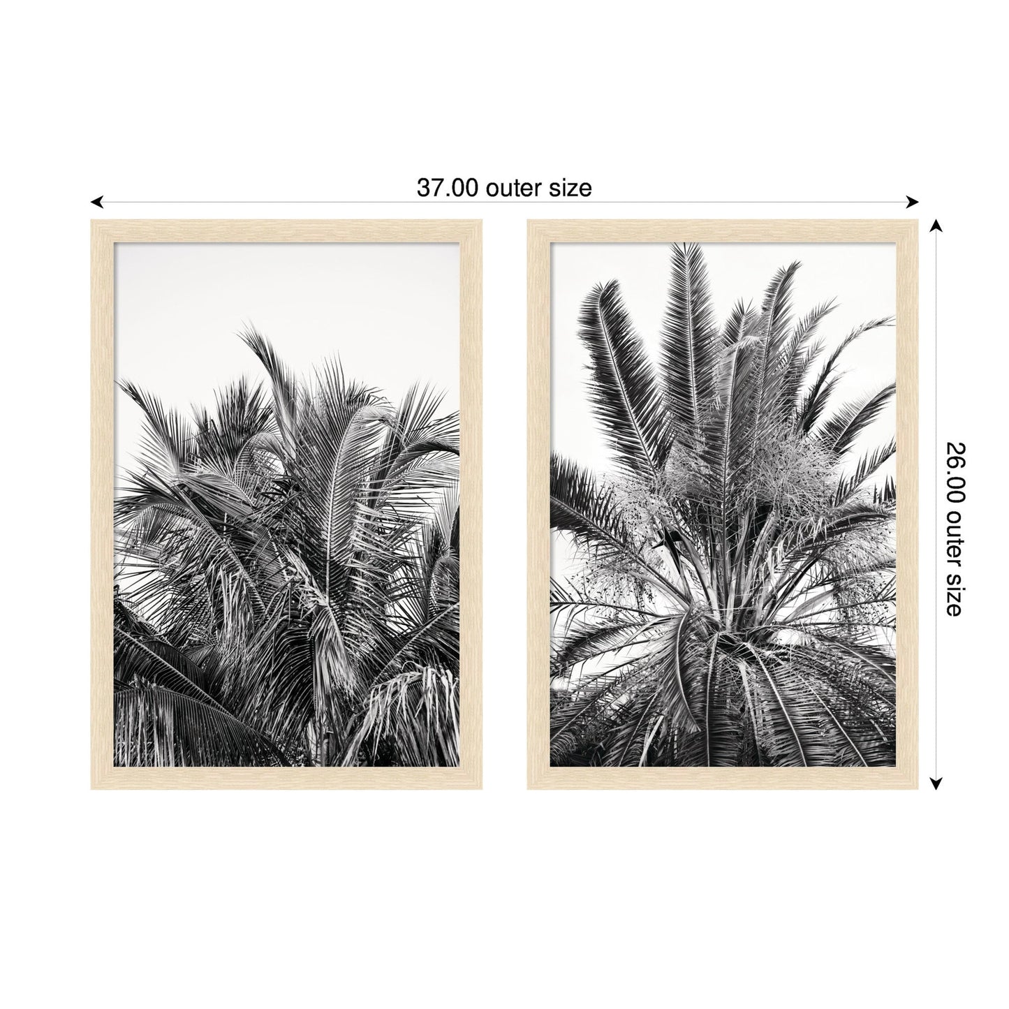 Palm No. 13 & 15 2 Piece Framed Wall Art Print Set by Alicia Bock