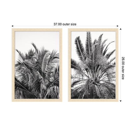Palm No. 13 & 15 2 Piece Framed Wall Art Print Set by Alicia Bock
