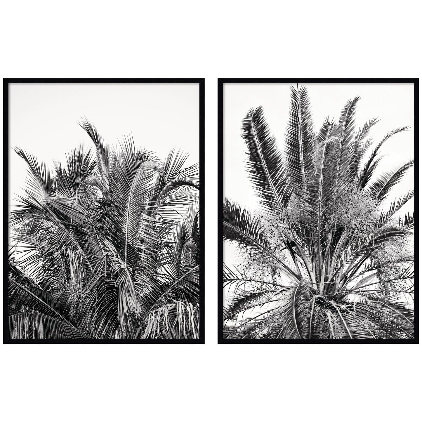 Palm No. 13 & 15 2 Piece Framed Wall Art Print Set by Alicia Bock