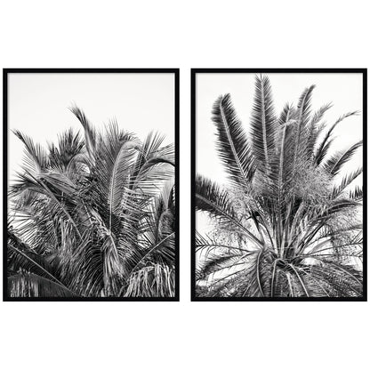 Palm No. 13 & 15 2 Piece Framed Wall Art Print Set by Alicia Bock
