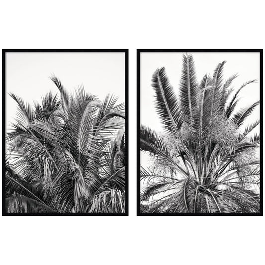 Palm No. 13 & 15 2 Piece Framed Wall Art Print Set by Alicia Bock
