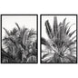 Palm No. 13 & 15 2 Piece Framed Wall Art Print Set by Alicia Bock