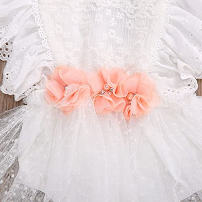 stylesilove Baby Girls Elegant White Lace Eyelet Flower Tulle Romper & Headband 2pcs Flower Girl Tutu Dress Outfit