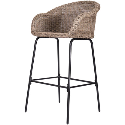 Ladd Outdoor Metal Wicker Barstool Set of 2