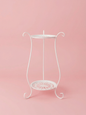 Two-Tier Metal Plant Stand – Double Layer Iron Flower Rack for Indoor & Outdoor Plants