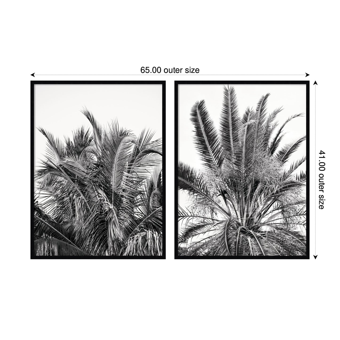 Palm No. 13 & 15 2 Piece Framed Wall Art Print Set by Alicia Bock