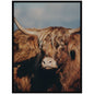 Highland Cow No. 5 by Laura Evans Framed Wall Art Print