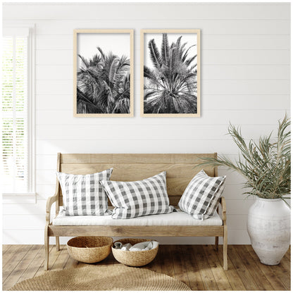 Palm No. 13 & 15 2 Piece Framed Wall Art Print Set by Alicia Bock
