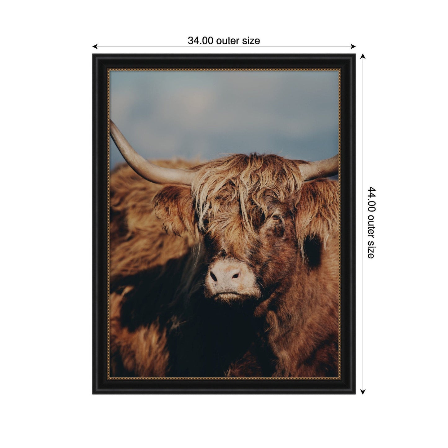 Highland Cow No. 5 by Laura Evans Framed Wall Art Print