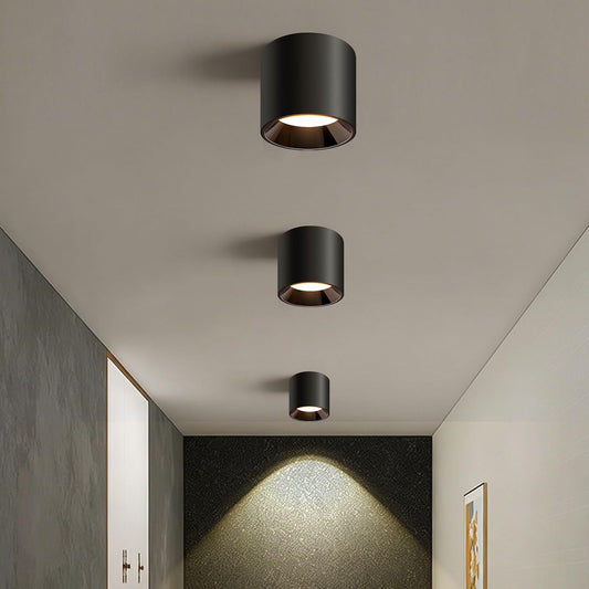 Modern Flush Mount Ceiling Light | 4.8" LED Cylinder Fixture for Hallway, 5CCT 3000K-6000K Dimmable, CRI90+