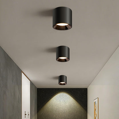 Modern Flush Mount Ceiling Light | 4.8" LED Cylinder Fixture for Hallway, 5CCT 3000K-6000K Dimmable, CRI90+