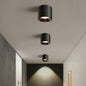 Modern Flush Mount Ceiling Light | 4.8" LED Cylinder Fixture for Hallway, 5CCT 3000K-6000K Dimmable, CRI90+