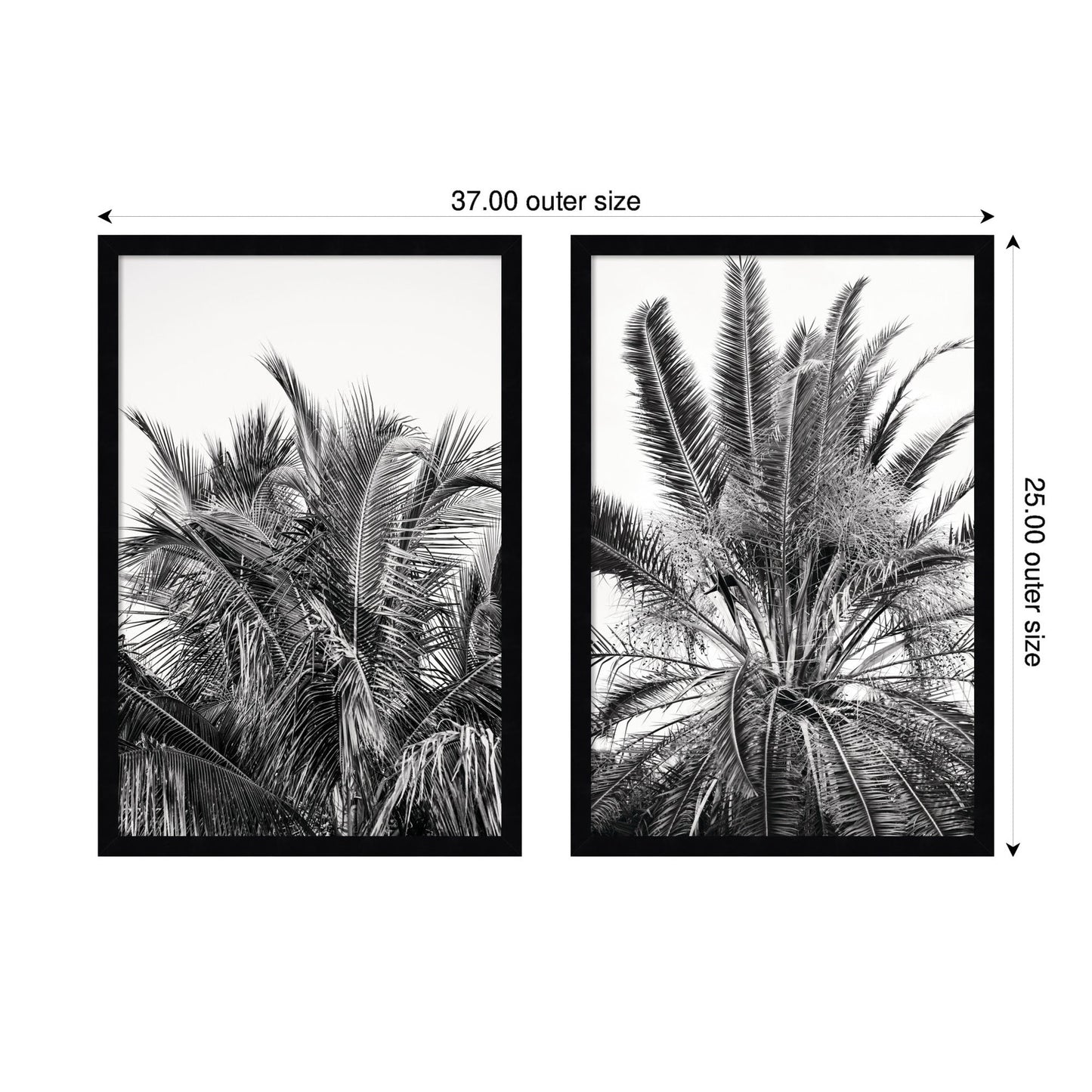 Palm No. 13 & 15 2 Piece Framed Wall Art Print Set by Alicia Bock