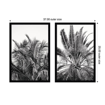 Palm No. 13 & 15 2 Piece Framed Wall Art Print Set by Alicia Bock