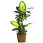 42" Golden Dieffenbachia  w/Basket Silk Plant