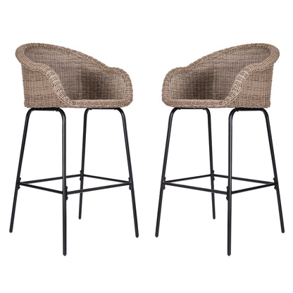 Ladd Outdoor Metal Wicker Barstool Set of 2