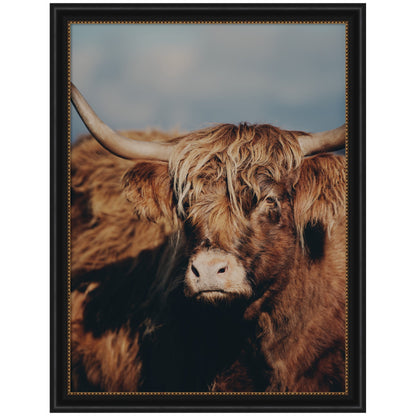 Highland Cow No. 5 by Laura Evans Framed Wall Art Print