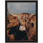 Highland Cow No. 5 by Laura Evans Framed Wall Art Print