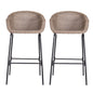 Ladd Outdoor Metal Wicker Barstool Set of 2