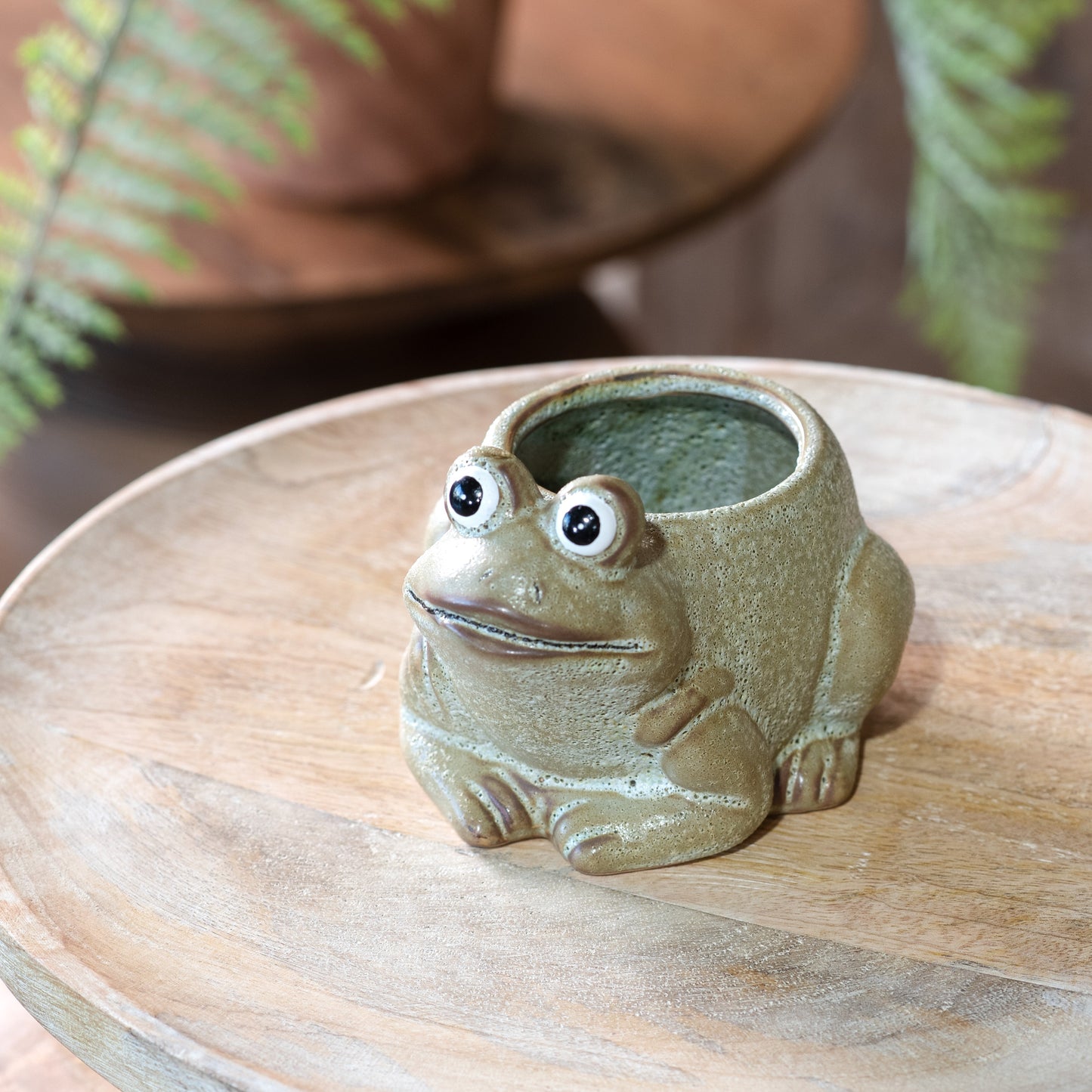 Ceramic Frog Mini Planter