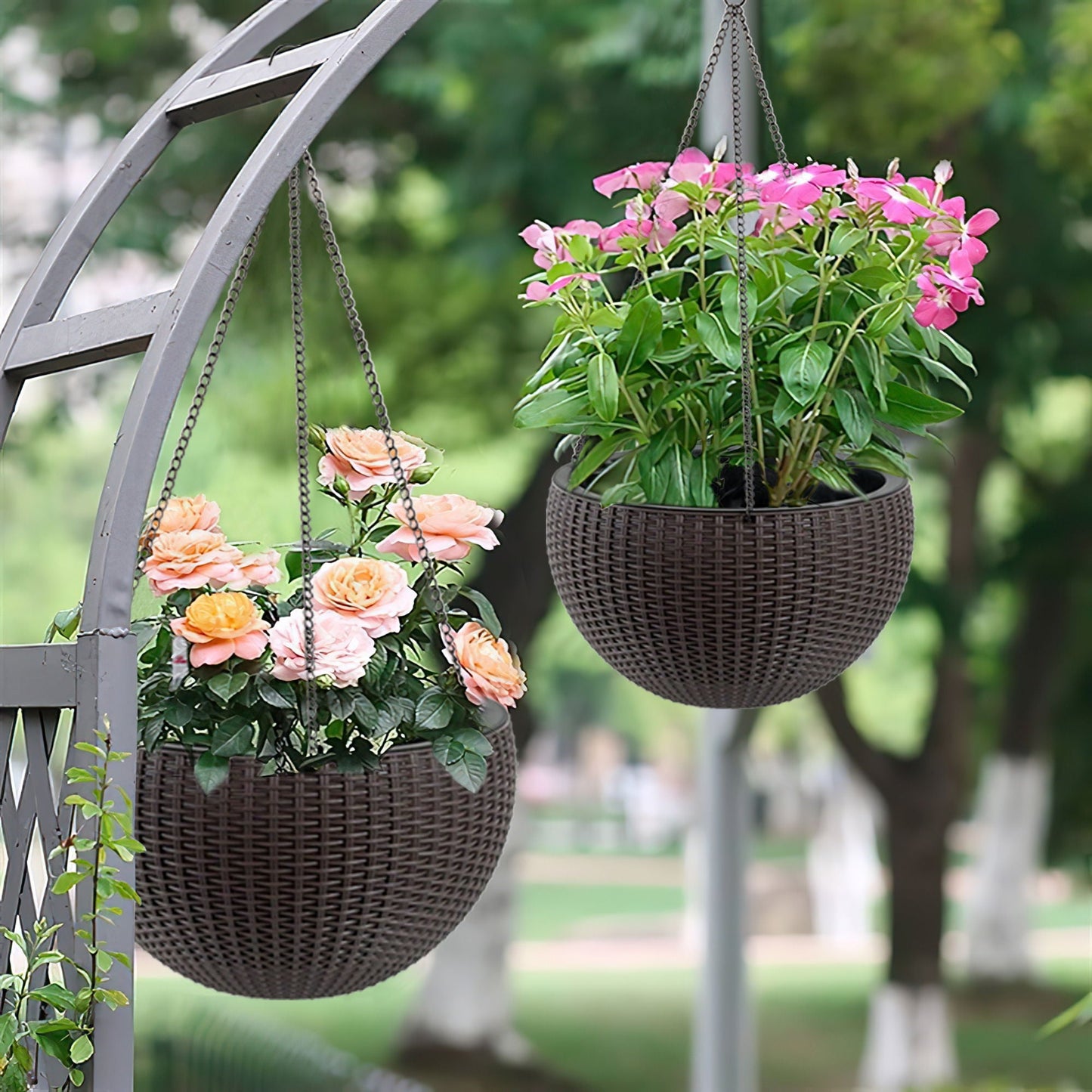 Self Watering Hanging Planter