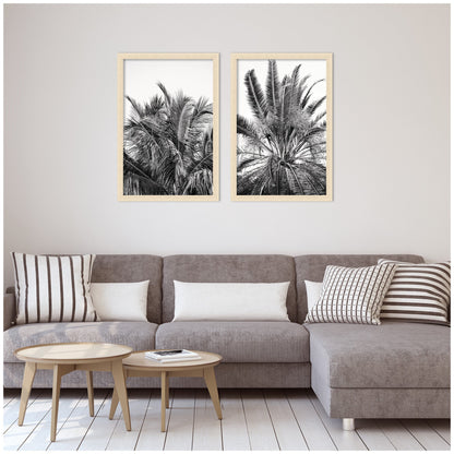 Palm No. 13 & 15 2 Piece Framed Wall Art Print Set by Alicia Bock