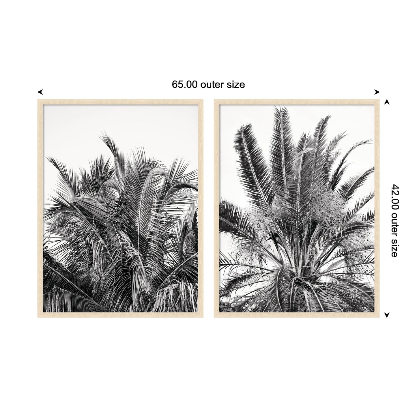 Palm No. 13 & 15 2 Piece Framed Wall Art Print Set by Alicia Bock