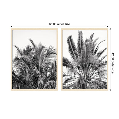 Palm No. 13 & 15 2 Piece Framed Wall Art Print Set by Alicia Bock