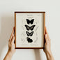 “Gothic Butterflies” Vintage Scientific Art Print