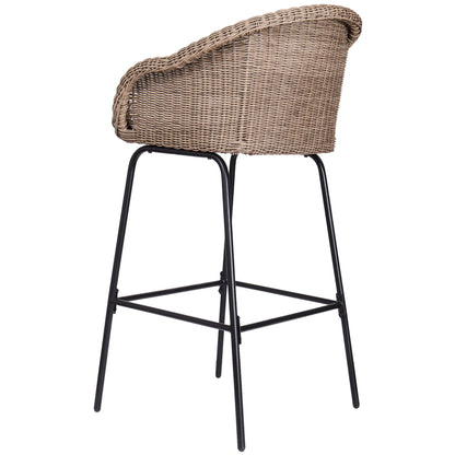 Ladd Outdoor Metal Wicker Barstool Set of 2
