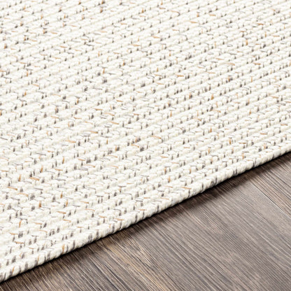 Beige Braided Faux Jute Outdoor Rug