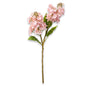Pink Cone Hydrangea Stem