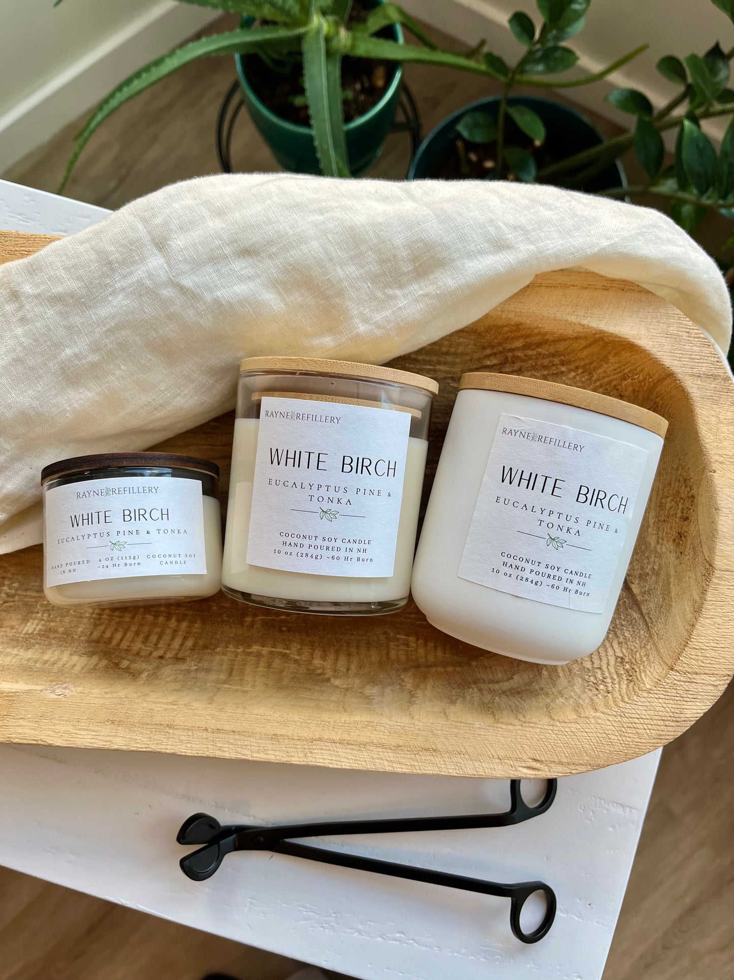 White Birch – Eco-Friendly Vegan Coconut Soy Candle | New Hampshire