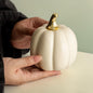 Pastel Pumpkins