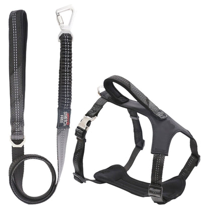 Pet Life ® 'Geo-prene' 2-in-1 Shock Absorbing Neoprene Padded Reflective Dog Leash and Harness