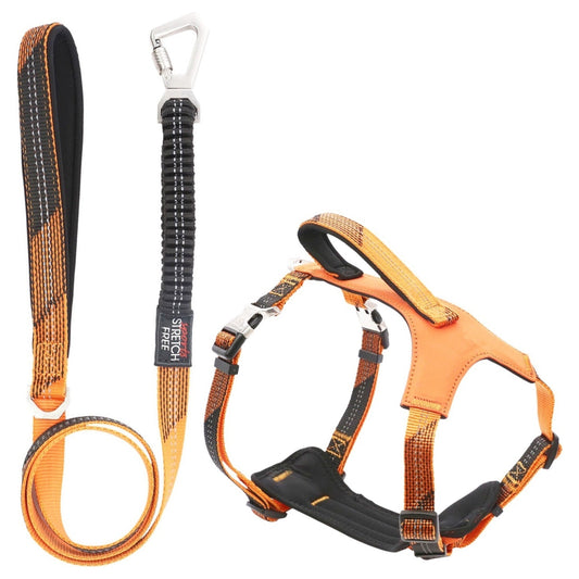 Pet Life ® 'Geo-prene' 2-in-1 Shock Absorbing Neoprene Padded Reflective Dog Leash and Harness
