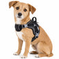 Dog Helios ® 'Scorpion' Sporty High-Performance Free-Range Dog Harness
