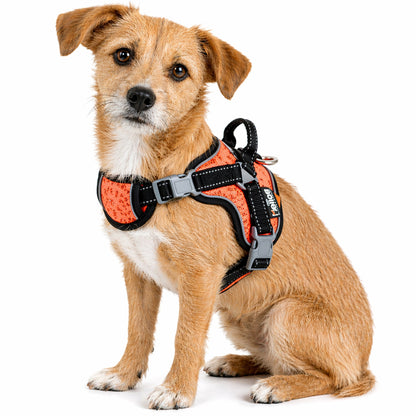 Dog Helios ® 'Scorpion' Sporty High-Performance Free-Range Dog Harness