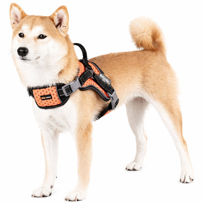 Dog Helios ® 'Scorpion' Sporty High-Performance Free-Range Dog Harness