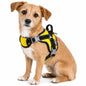 Dog Helios ® 'Scorpion' Sporty High-Performance Free-Range Dog Harness