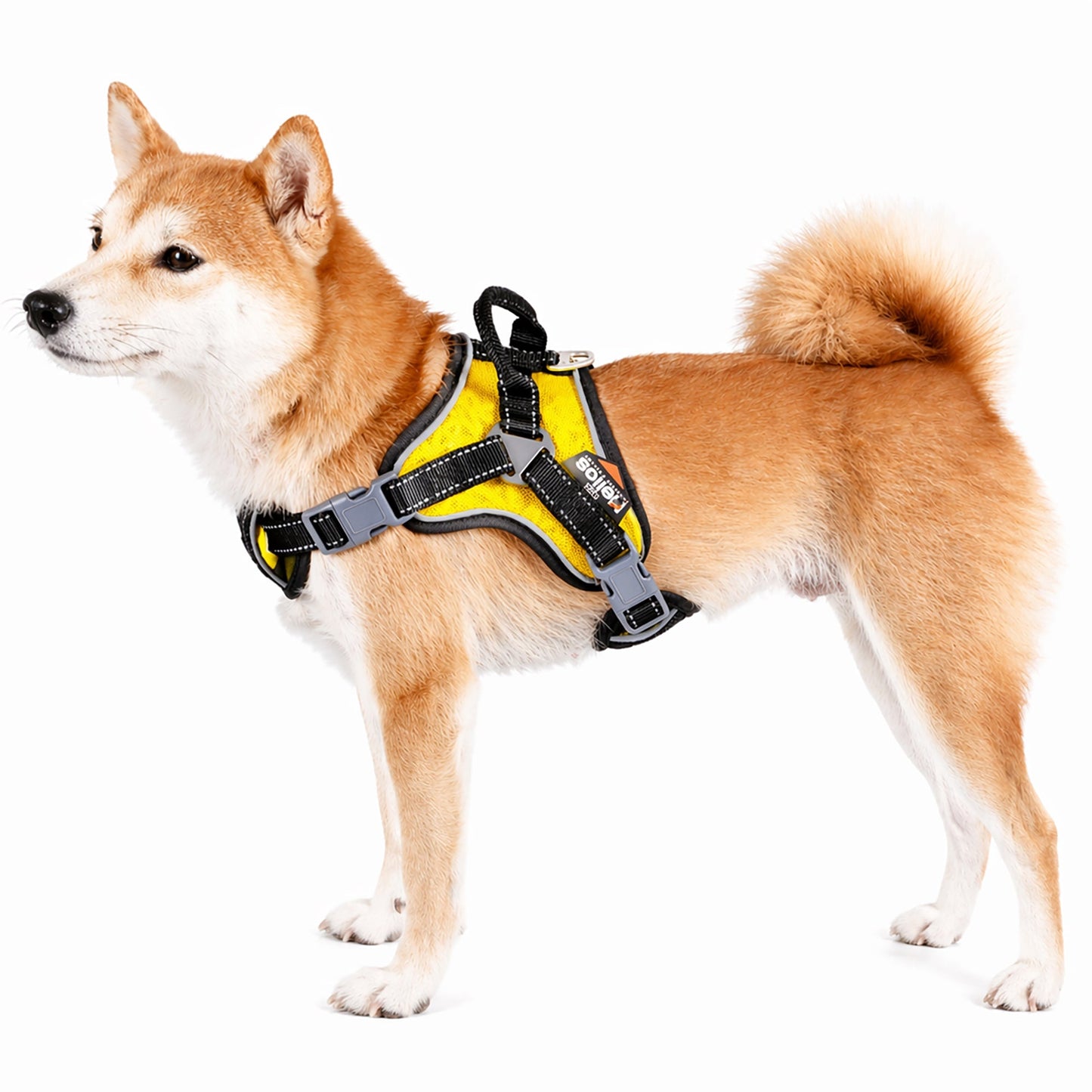 Dog Helios ® 'Scorpion' Sporty High-Performance Free-Range Dog Harness
